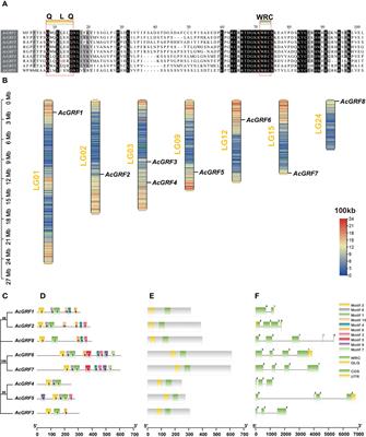 Frontiers Genome Wide Identification Phylogeny And Expression